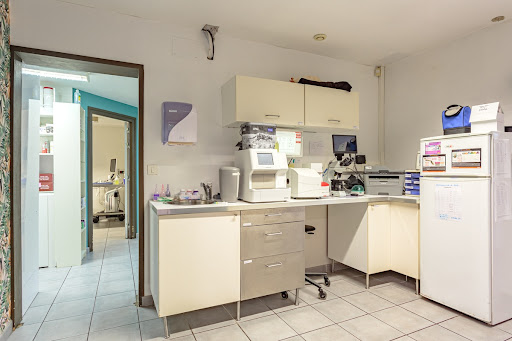 Clinique vétérinaire de l'Océan - Urrugne - Sevetys Gallery - France