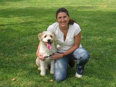 Adiestramiento Adiestracor