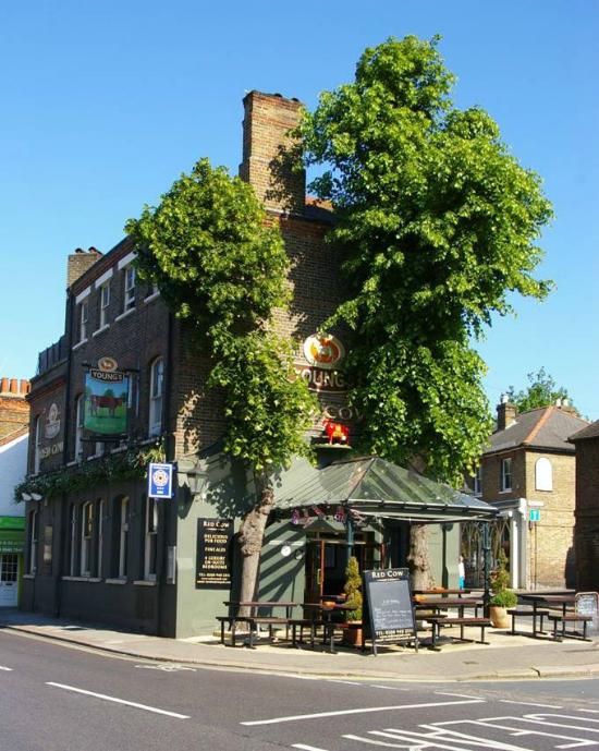 Discover the top pubs in Richmond with our comprehensive guide. From historic watering holes to modern gastropubs, we've curated the best spots to enjoy a pint or two. Join us as we explore the local pub scene and find your new favorite spot to unwind with friends or enjoy a delicious meal. #londonpubs #richmondpark Things To Do In Richmond | Best Pubs In London | Best Pub Food In London | Sunday Roast | Best Places To Visit In London