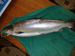 Photo n°5 de Ty Bazar à Plouay (Bazar)