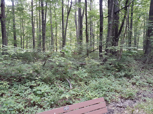 The North Coast Inland Trail in Elyria - Thumbnail