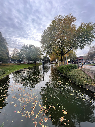 Kalverbos - Thumbnail