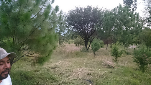 Gotcha Tochtepec - Visual