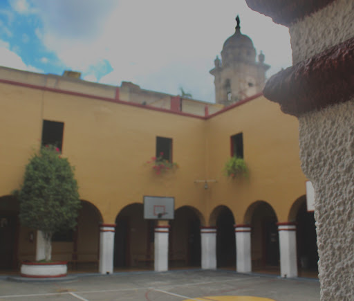 Luis Silva Institute - Thumbnail