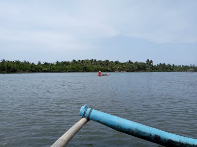 Bandar Udara Nusa Wiru Cijulang