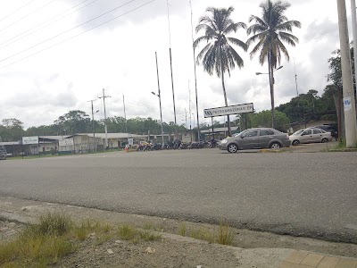 Photos of Guarumo