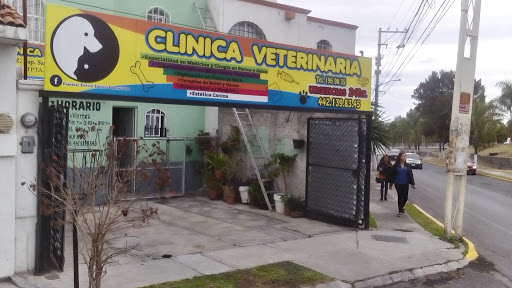 Clínica Veterinaria Pequeñas Servicio Especializado