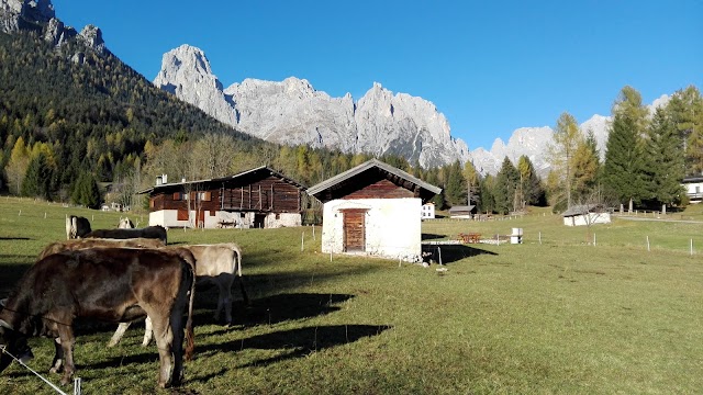Parco Naturale Paneveggio Pale di San Martino - Villa Welsperg