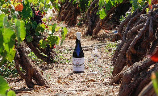 Ruku Ruku wine (Guachinche Ramón)