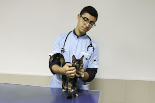 Photo n°7 de Clinique Vétérinaire Argos Marseille Plombières à Marseille (Vétérinaire)