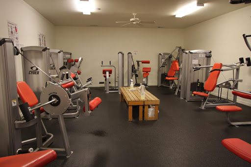 Physical Therapy Down Under