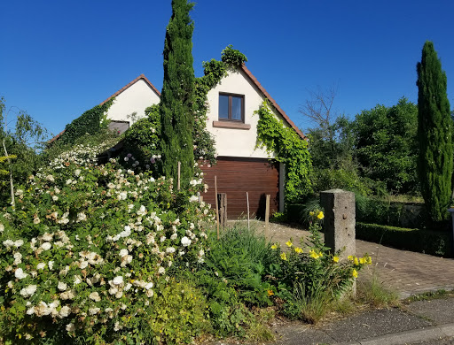 Photo de Château de Werde à Matzenheim (67150)