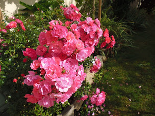 Photo n°10 de Mavicha - Gîtes de France à Vannes (Lodge)