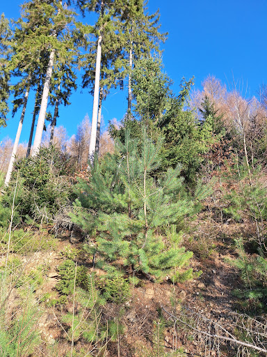 Schutzhütte "Am Sandacker" - Visual