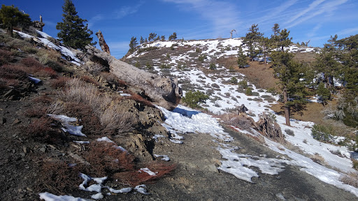 Inspiration Point Trailhead - Thumbnail