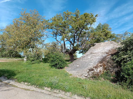 Centro de Interpretación y Cabaña de Valonsadero