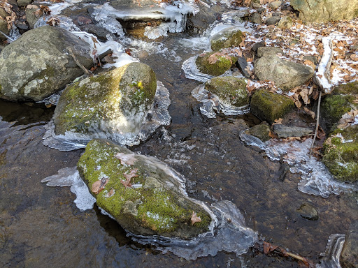 Hardscrabble Wilderness Area - Thumbnail