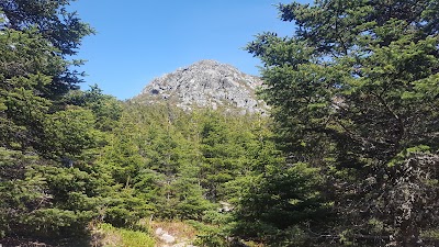 Photos of Bigelow Preserve