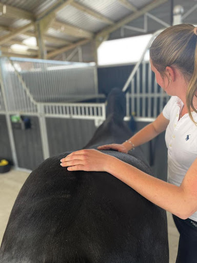 Ellie Robinson Veterinary Physiotherapy - Thumbnail