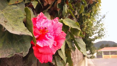 Photos of a Isabel la Cat&oacute;lica Park