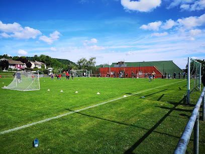 Stade Mances