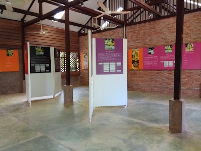 Photos of Angkor Silk Farm