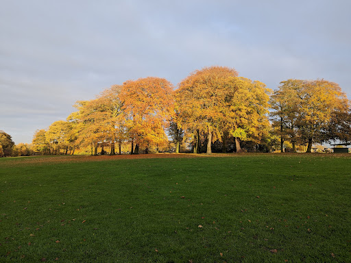 Sherdley Park - Thumbnail