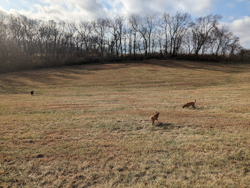 Leash Free Dog Run