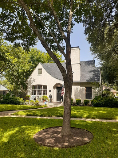 Texas Tree Services - Visual