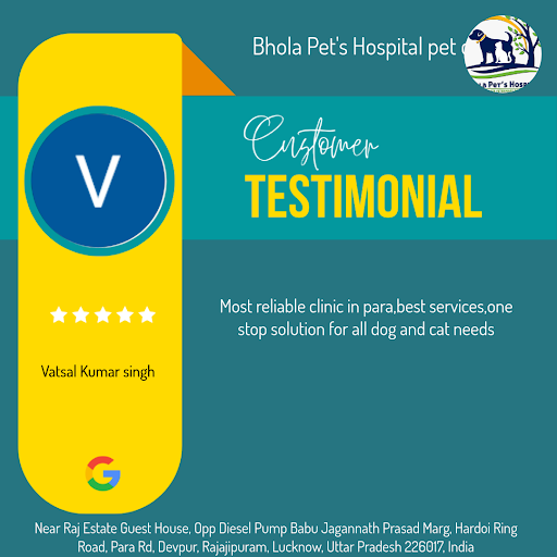 Vatsal Kumar Singh, a delighted pet parent, shares his 5-star experience at Bhola Pet's Hospital… post image