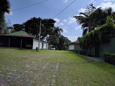 Photos of Vivero La Concha