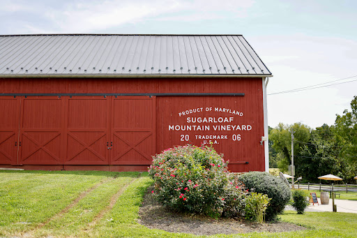Sugarloaf Mountain Vineyard - Thumbnail