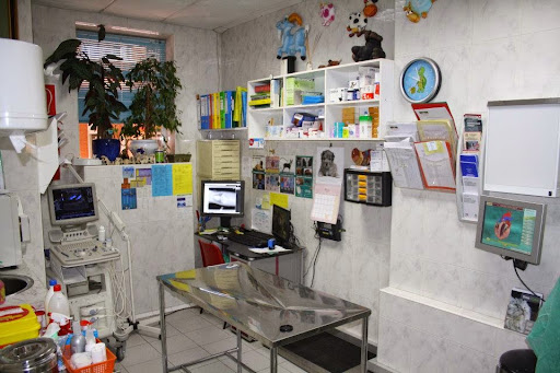 Centro Veterinario Santa Teresa - Thumbnail