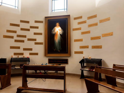 Basilique du Sacré-Cœur de Grenoble - Thumbnail