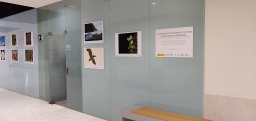 Faculty of Biology of the University of Salamanca - Thumbnail