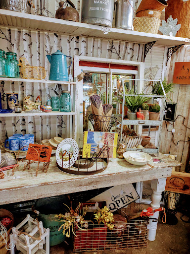 Timeless Treasures - Visual