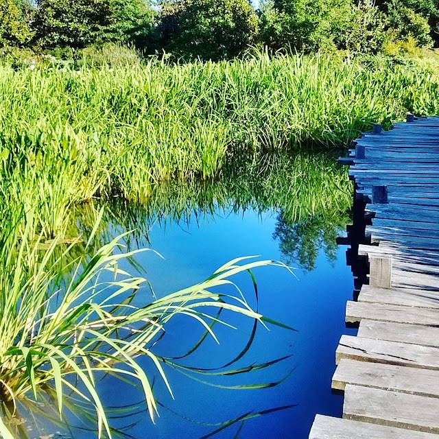 Parc du Grand Blottereau