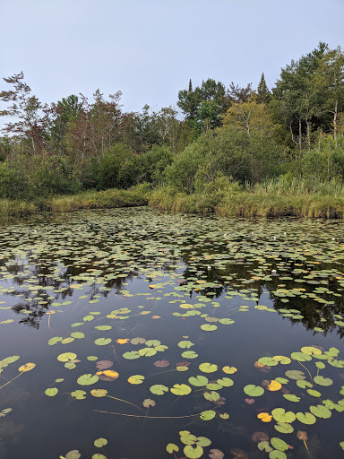 Round Lake Nature Preserve - Thumbnail