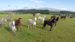 Photo n°9 de La Claire Fontaine à Fontaine-le-Sec (Lieu de mariage)