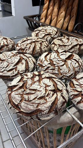 Comentarii opinii despre Fred & Ko