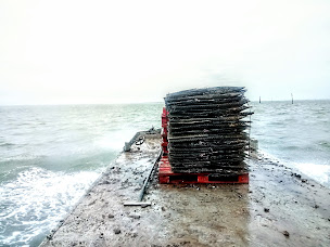 Photo n°29 de LES COQUILLES DU BASSIN à Andernos-les-Bains (Service de livraison)