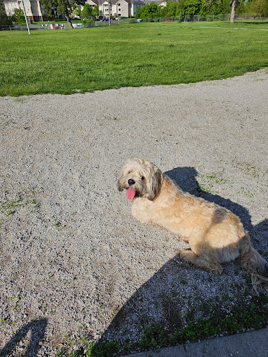 Ames Dog Park - Thumbnail