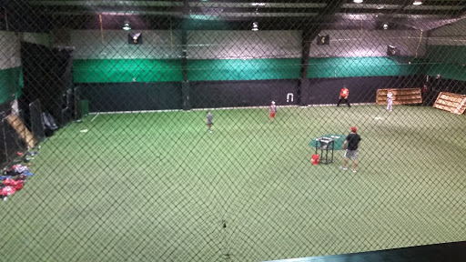 Force Elite Baseball - Visual