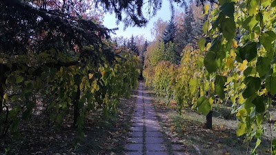 Photos of Compuvad