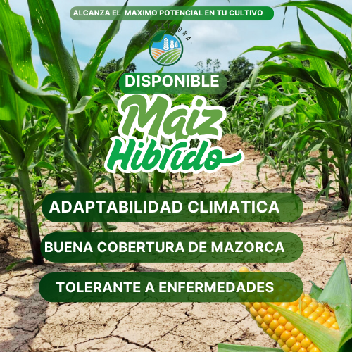 Agroveterinaria y Semillas La patrona Huimanguillo