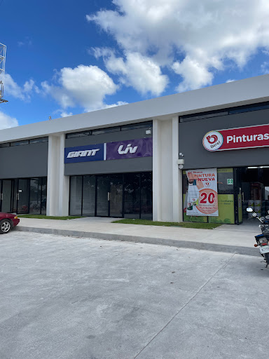 Giant Store Mérida