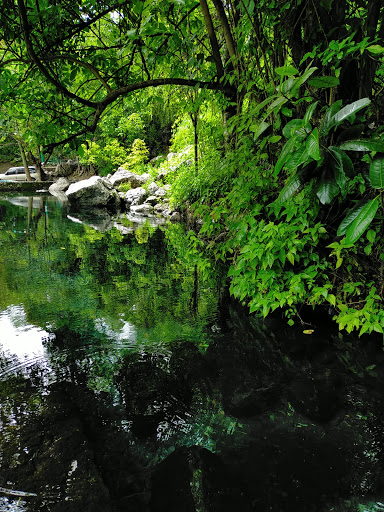 Ojo de Agua "La Huaracha" Gallery - Mexico