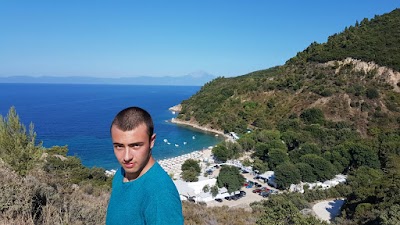 Photos of 4 Elies