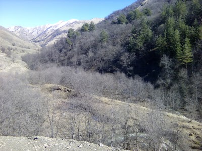 Photos of Razv. Motsaroy