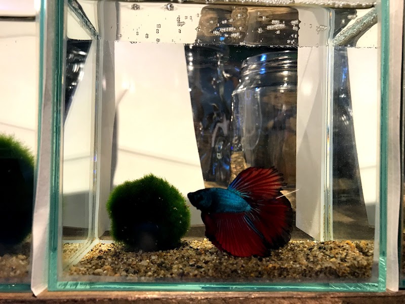 AQUA LABO aqua total produce